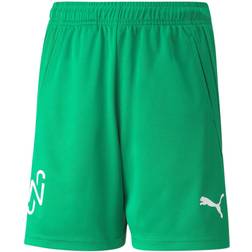 Puma Copa Uomo Shorts - Verde