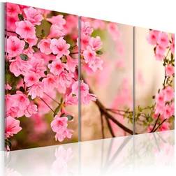Arkiio Cherry flower 60x40 Tavla