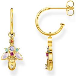 Thomas Sabo Creolörhängen Skalbagge - Guld