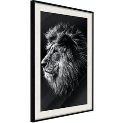 Arkiio Affisch Blue-eyed Lion Poster 30x45cm