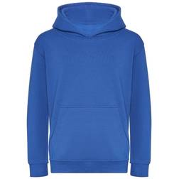 AWDis Awdis Childrens/Kids Organic Hoodie (12-13 Years) (Burgundy)