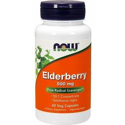 Now Foods Elderberry 500mg 120 st