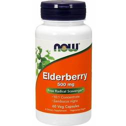 Now Foods Elderberry 500mg 120 stk