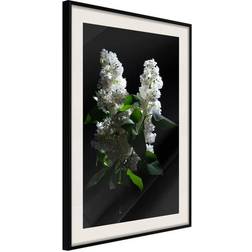 Arkiio Affisch Lilacs at Night Poster 30x45cm