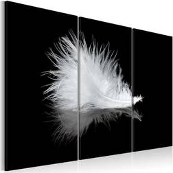 Arkiio A small Feather 60x40 Tavla