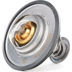 Ridex Termostat 316T0120