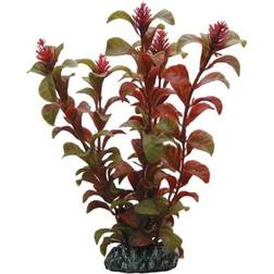 HSE Dohse Rotala 16 cm