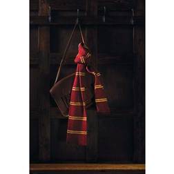 Harry Potter Gryffindor House Scarf Knitting Kit