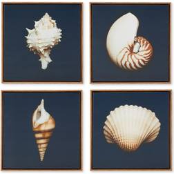 Madison Park Ocean Seashells 4-pc. Wall Set