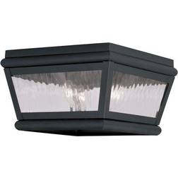 Livex Lighting Exeter Ceiling Flush Light 8" 2