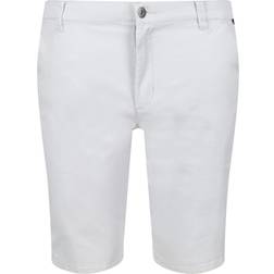 Regatta Mens Sandros Shorts (silver Grey)