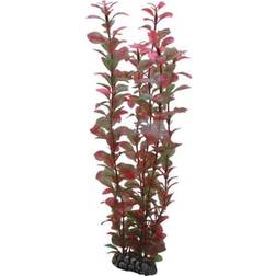Hobby Dohse Ludwigia 34 cm
