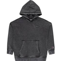 Champion Hooded Sweatshirt