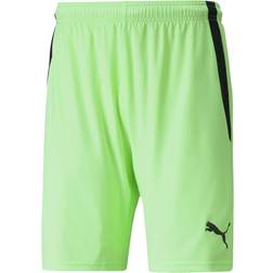 Puma Housu Teamliga 7/8 3/4