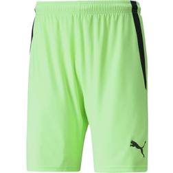 Puma teamLIGA Short