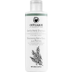 Odylique Odylique Gentle Herb Shampoo 200ml