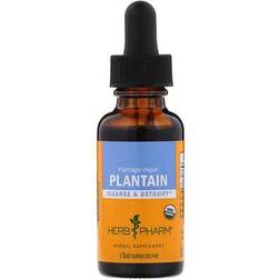 Herb Pharm Plantain 1 fl oz (30 ml)