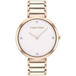 Calvin Klein Minimalistic T-Bar (25200135)