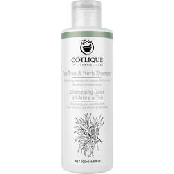 Odylique Odylique Tea Tree & Herb Shampoo 200ml