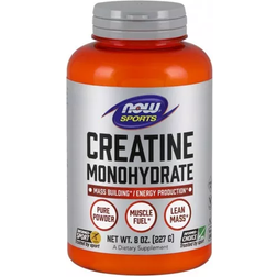 NOW Kreatinmonohydrat Rent Pulver 227 g