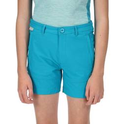 Regatta Highton Walking Shorts - Blue Enamel