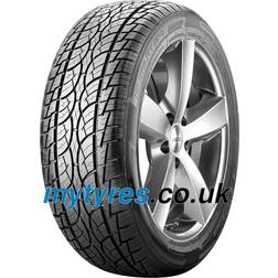 Nankang Utility SP-7 295/30 ZR22 103Y XL
