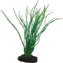 Hobby Plastväxt Sagittaria 20cm