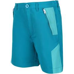 Regatta Sorcer Mount Ii Shorts