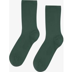 Colorful Standard Women Classic Organic Sock Ankelstrømper One hos Magasin Limestone