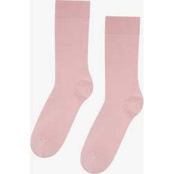 Colorful Standard Classic Organic Sock