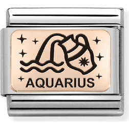 Nomination Classic Rose Aquarius Charm