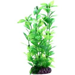 Hobby Dohse Hygrophila 20 cm