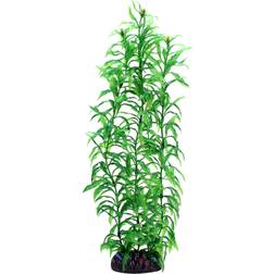Hobby Dohse Heteranthera 34 cm