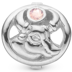 Christina Collect Tyren Charm - Silver/Pink