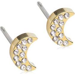 Blomdahl Brilliance Moon Titanium Ørestikker fra med Krystalsten