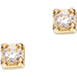 Scrouples Earrings - Gold/Transparent