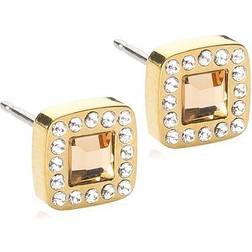 Blomdahl Brilliance Cushion Gold-coloured Titanium Crystal/Gold