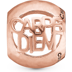 Christina Jewelry Charms Carpe Diem