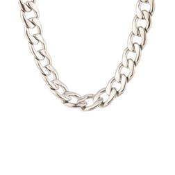 Eye Candy LA Women's Luxe Titanium Chain Necklace neutral