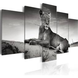 Arkiio Lioness in a desert 200x100 Tavla 200x100cm