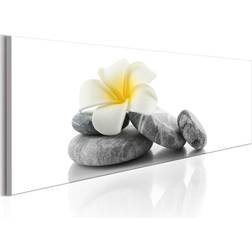 Arkiio White Lotus 120x40 Tavla