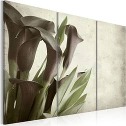 Arkiio callas vintage 120x80 Tavla