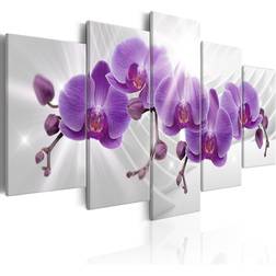 Arkiio Abstract Garden Purple Orchis 200x100 Tavla 200x100cm