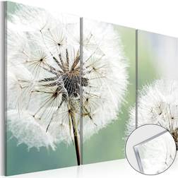 Artgeist På Akryl Fluffy Dandelions 120x80 sp. z o. o Tavla