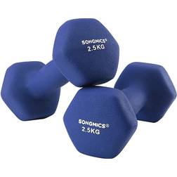 Songmics Matte Finish Dumbbells