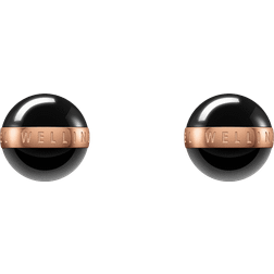 Daniel Wellington Aspiration Earrings DW00400151