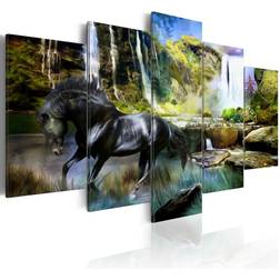 Arkiio Black horse of paradise waterfall 200x100 Tavla 200x100cm