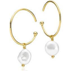 Izabel Camille Passion Earrings - Gold/Pearls
