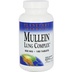 Planetary Herbals Mullein, Lung Complex, 850 mg, 180 Tablets