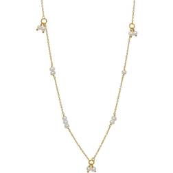 Carre Beautiful Freshwater Necklace - Gold/Pearl